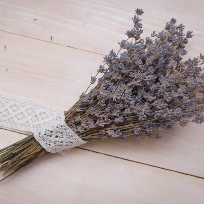 Best Flowers for New Babies Lily's Florist